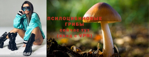 PSILOCYBIN Козельск