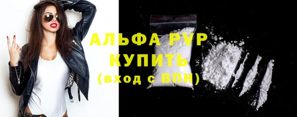 PSILOCYBIN Козельск