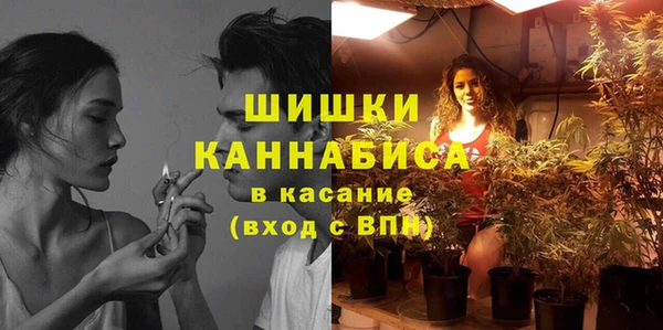 PSILOCYBIN Козельск