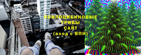 прущий лед Кодинск