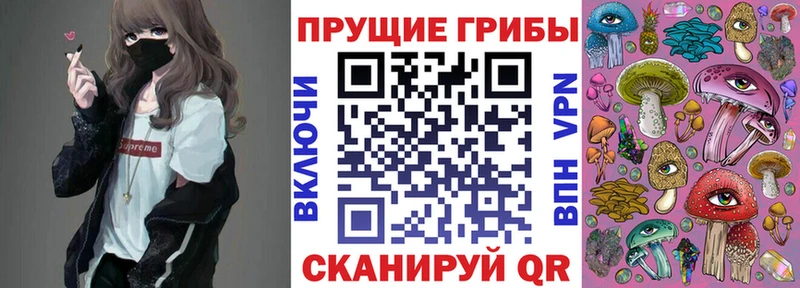 Купить где  Мглин  Псилоцибиновые грибы Psilocybine cubensis 